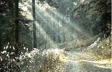 Dans le Val d'Argent